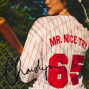 Mr. Nice Try