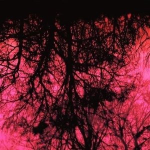 Fading Away