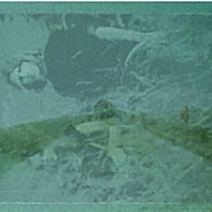 Still / Plucknett 的头像