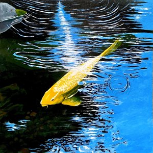 Pond