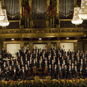 Wiener Philharmoniker photo provided by Last.fm