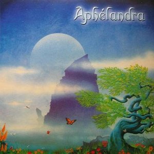 Avatar de Aphélandra