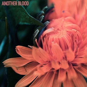 Another Blood
