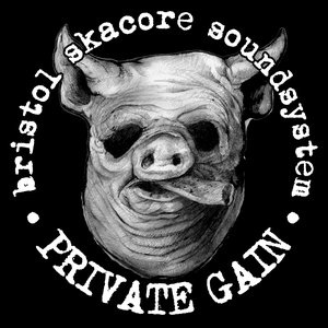 “Private Gain”的封面