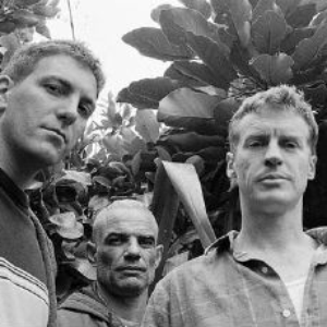 The Mutton Birds photo provided by Last.fm