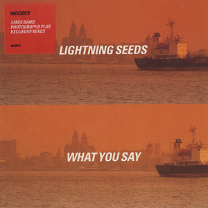 The Lightning Seeds - What You Say - Zortam Music