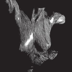 Self Preserved While The Bodies Float Up