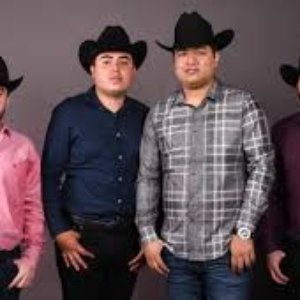Los elementos de culiacán 的头像