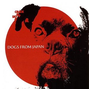 Dogs From Japan