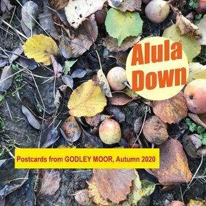 Postcards from Godley Moor, Autumn 2020
