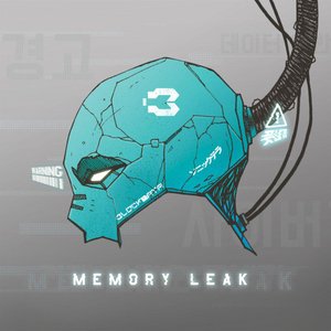 Memory Leak