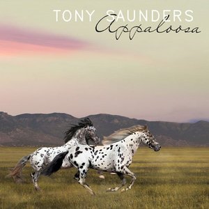 APPALOOSA