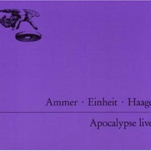 “Ammer Einheit Haage”的封面