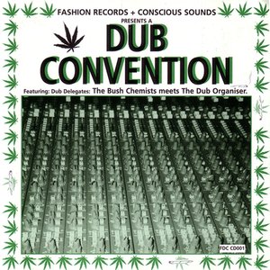 Dub Convention (The Bush Chemists meets The Dub Organiser)