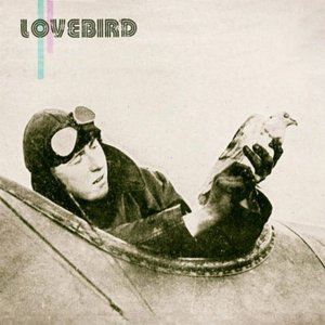 Lovebird