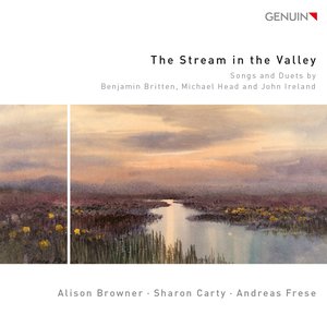Image for 'The Stream in the Valley'