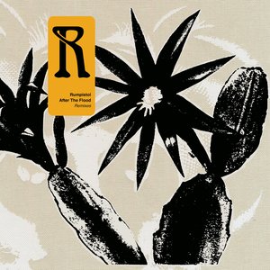 After the Flood (Remixes)