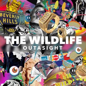 The Wild Life - Single