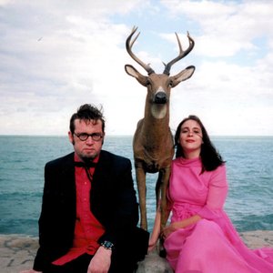 Avatar for The Handsome Family