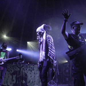 Vlastur Dub Band 的头像