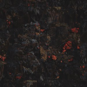 Before Time Divides Us, Pt. 1