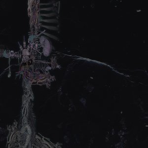 Avatar for N. Brennan + Orokin