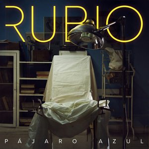 Pájaro Azul