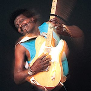 Bild für 'Albert Collins & The Heartbreakers'