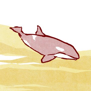 Song for the Orca