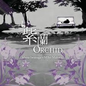 紫蘭／ORCHID