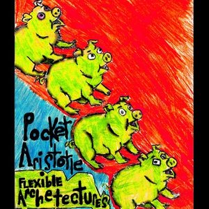 Avatar for Pocket Aristotle