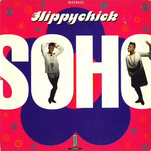 Artwork for Hippychick (extended vocal)