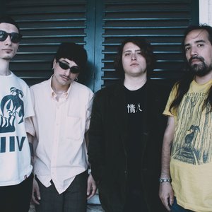 Avatar for Un Año en la Selva