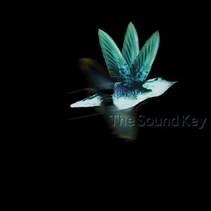 Avatar for The Sound Key