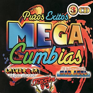 Puros Exitos - Mega Cumbias