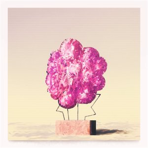 Images of beauty never seen - Common Forgetfulness