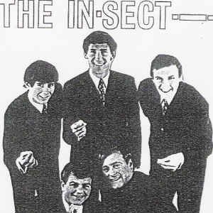 The In-Sect 的头像