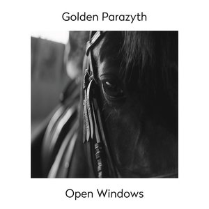Open Windows - Single