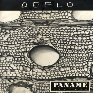 Deflo photo provided by Last.fm