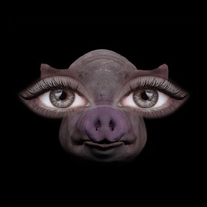 Us and Pigs - Single