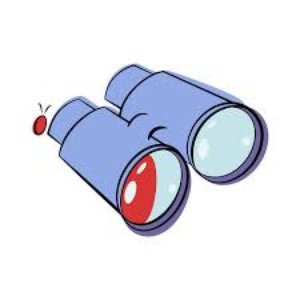 The Little Birdwatcher - Single