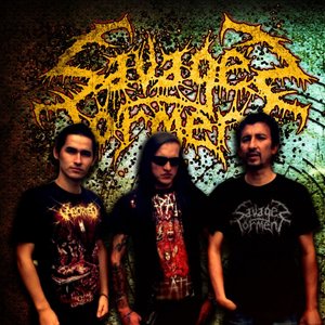 Avatar for SAVAGE'S TORMENT