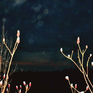 Where the wind blows through you (Eledin cut)