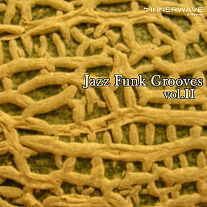 Jazz Funk Grooves Vol.2