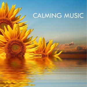 Image for 'Calming Music'