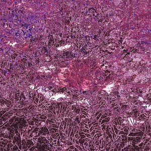 Some Dog Songs - Single