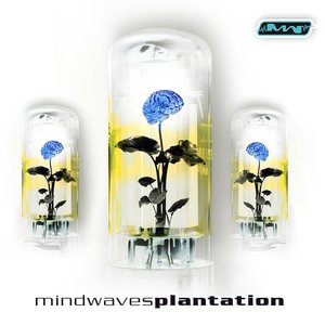 Bild für 'Mindwaves Plantation'