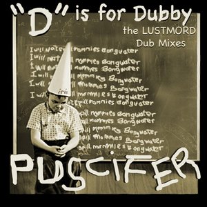 "D" Is for Dubby, the Lustmord Dub Mixes