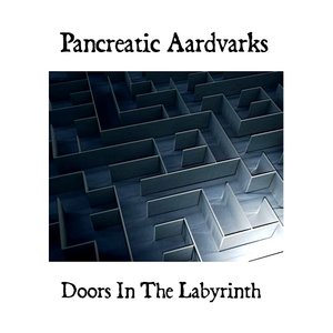 Doors In The Labyrinth