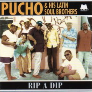 Rip a Dip cover